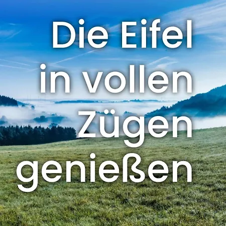 Miesseler