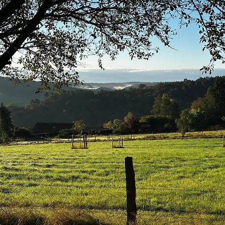 Miesseler アパート *