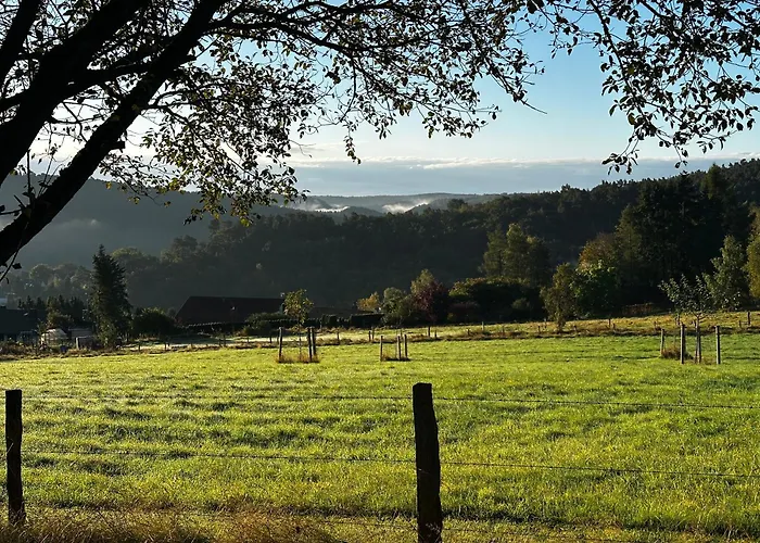 Miesseler Lejlighed *